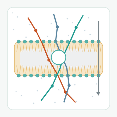 ../_images/permeability-thumb.png